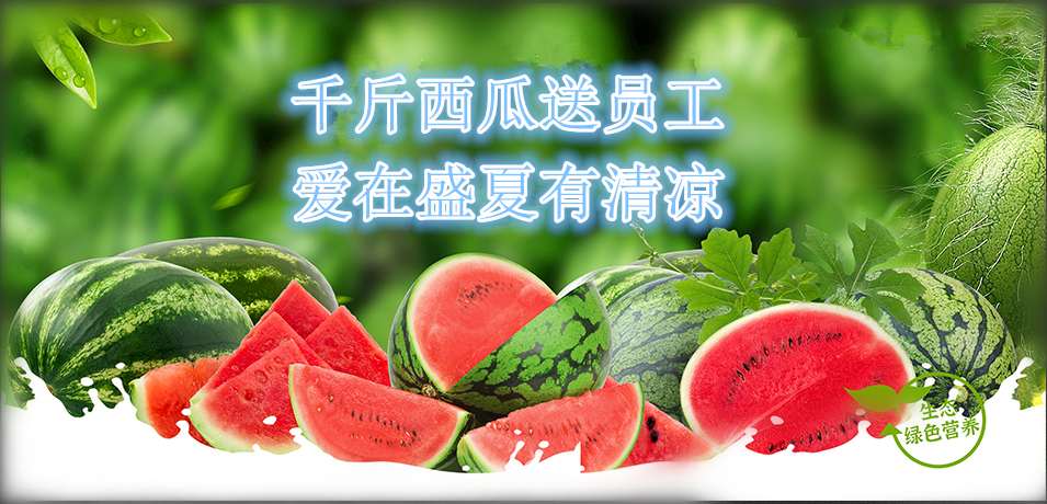 通達(dá)軟件公司： 千斤西瓜送員工，愛在盛夏有清涼